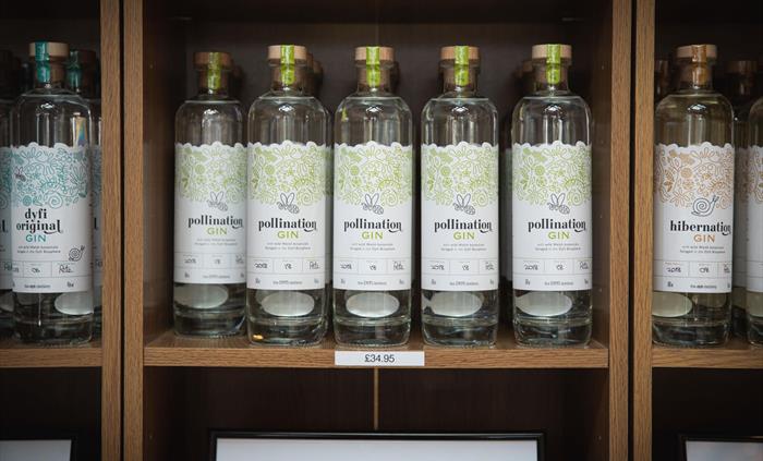 Dyfi Distillery